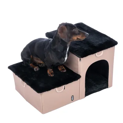 Hund sitzt auf zweistufiger Hundehöhle mit schwarzem Plüschbezug und beige Stoffwänden. Untere Ebene mit Eingang, obere Ebene als Liegefläche.