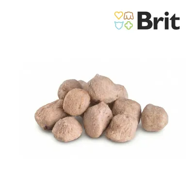 Brit Raw Treat Digestion Chicken