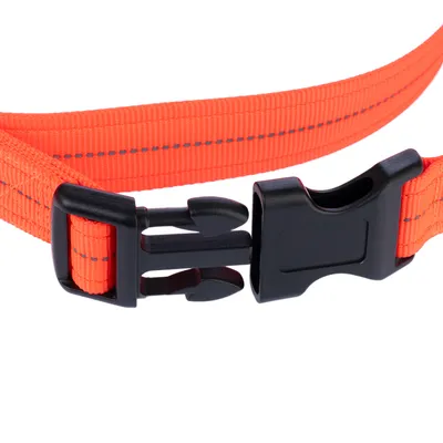 Nahaufnahme eines orangefarbenen Halsbands mit schwarzem Klickverschluss und reflektierenden Streifen.