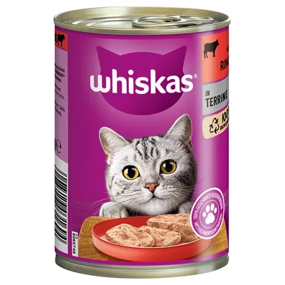 Puszka Whiskas z ilustracją kota, napisem 'in Terrine', symbolem wołowiny i informacją o 100% recyklingu na fioletowym tle. Widoczny talerz z kawałkami karmy.