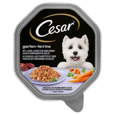 Cesar Garten-Terrine mit Lamm, Karotten und einem Hauch Koriander in Gelee. Hergestellt mit natürlichen Zutaten. Für Hunde.