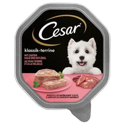Cesar Multipack Hondenvoer 14 x 150 g