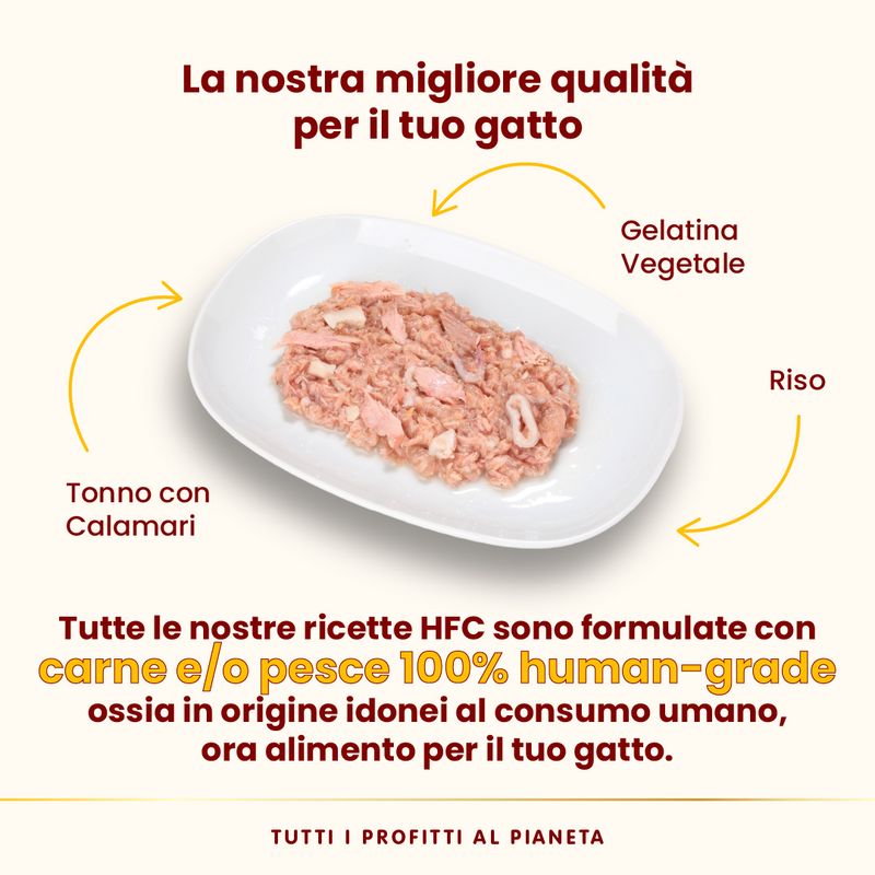 Almo Nature HFC Natural 12 x 70 g umido gatto