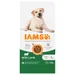 IAMS Advanced Nutrition Adult Large Dog bárány