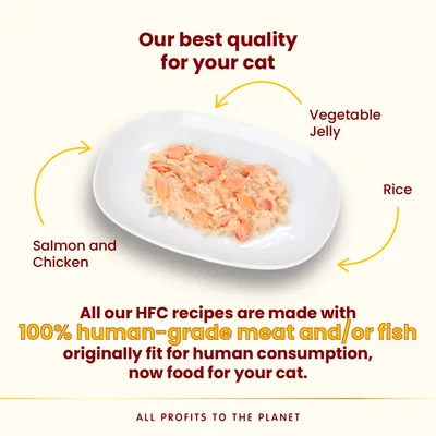 Salmon and chicken cat food with rice and vegetable jelly on a plate. Text: 100% human-grade meat and/or fish, originally fit for human consumption, now food for your cat.