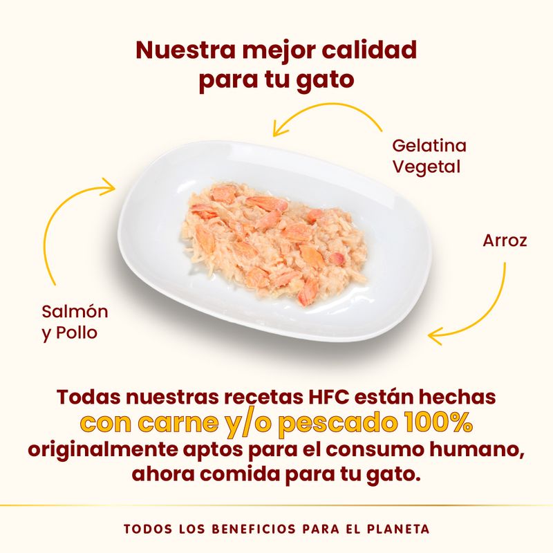 Pack Ahorro Almo Nature HFC 24 x 70 g