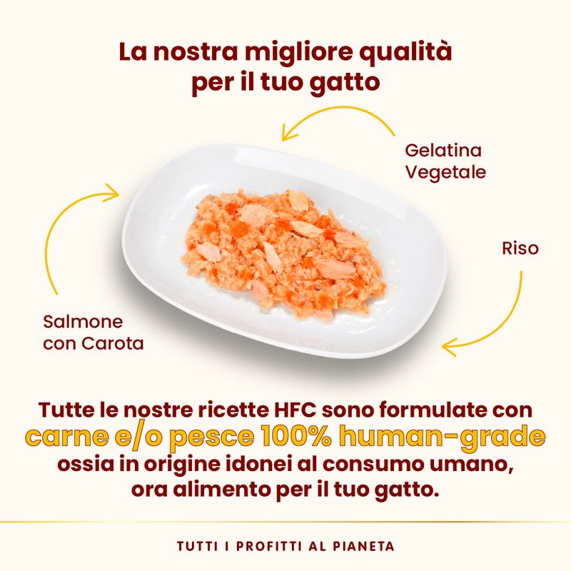 Almo Nature HFC Natural 12 x 70 g umido gatto