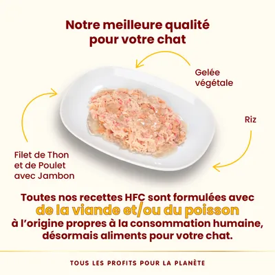 Filet de thon et de poulet avec jambon, gelée végétale et riz sur assiette. Texte : recettes HFC formulées avec viande et/ou poisson propres à la consommation humaine, pour chats.