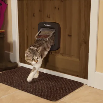 PetSafe cat flap in wooden door, cat passing through the flap. Product shows function of the pet door.