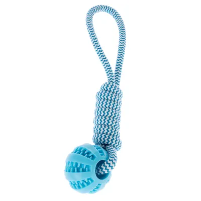 Juguete para masticar azul y blanco con asa de cuerda y pelota texturizada de plástico.