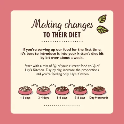 Feeding guide showing how to gradually switch a kitten’s food over one week, starting with mostly current food and increasing new food daily until only the new food is given from day 9 onwards.