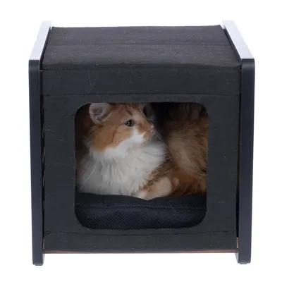 Cat cave made of black fabric with metal frame, cat lying inside looking to the right.