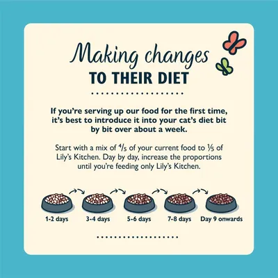 Feeding guide showing how to gradually switch to Lily’s Kitchen food over a week, starting with mostly current food and increasing Lily’s Kitchen until fully switched by day 9 onwards.