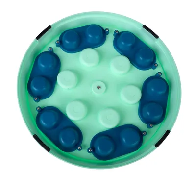 Round toy with green frame and blue indentations, suitable for interactive play.