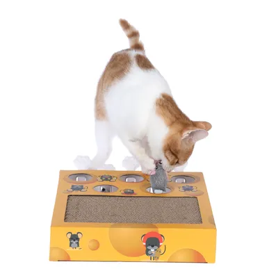 TIAKI kattelegetøj Whack-a-mole 2-i-1