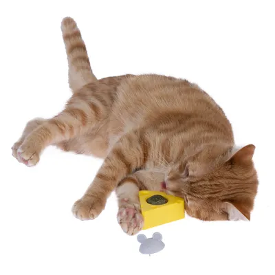 Rote Katze spielt mit gelbem Katzenspielzeug in Käseform und grauer Mausfigur. Spielzeug enthält Katzenminze.
