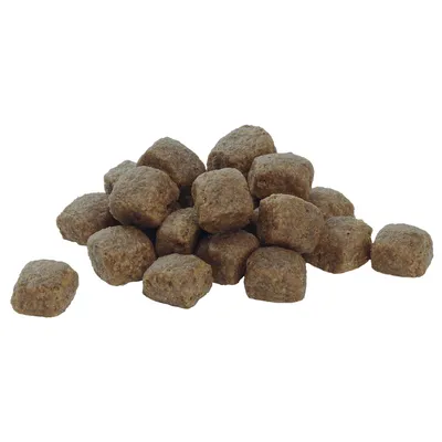 Brune, firkantede tørfoderpiller i en bunke, uden synlig emballage eller mærkning. Ingen tekst eller brandnavn fremgår.