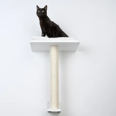 Gatto nero seduto su una piattaforma bianca rialzata con colonna tiragraffi in sisal sotto. Prodotto da parete per gatti.