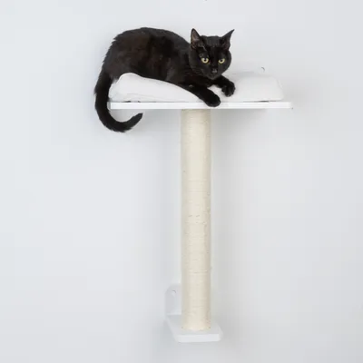 Tiragraffi da parete con superficie di riposo bianca e tronco tiragraffi in sisal. Gatto nero sdraiato sulla superficie imbottita.