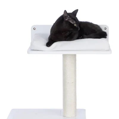 Arbre à chat avec poteau en sisal et plateforme blanche, coussin blanc sur le dessus, chat noir allongé sur le coussin. Matériaux visibles : bois, tissu, sisal.