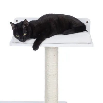 Plateforme pour chat avec coussin blanc et poteau recouvert de corde, chat noir allongé sur le dessus. Matériaux visibles : bois, tissu, corde.