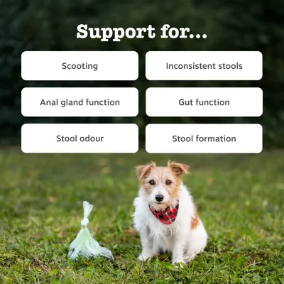 Zesty Paws Scoot Away Anal Gland Support Chews with Turkey