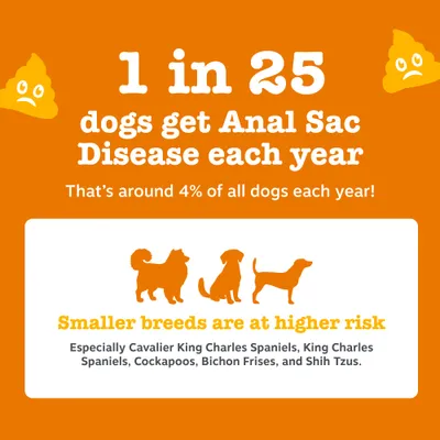 Zesty Paws Scoot Away Anal Gland Support Chews