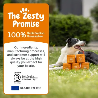The Zesty Promise: 100% Satisfaction Guarantee. Ingredients, production and customer service always of the highest quality. Certified B Corporation. MADE IN EU. The Zesty Promise: 100% Satisfaction Guarantee. Ingredients, production and customer service always of the highest quality. Certified B Corporation. MADE IN EU.