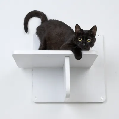 Gatto nero su mensola da parete bianca a due livelli, adatta come zona arrampicata o riposo per gatti.
