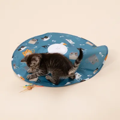 TIAKI interaktivt fangstspil til katte