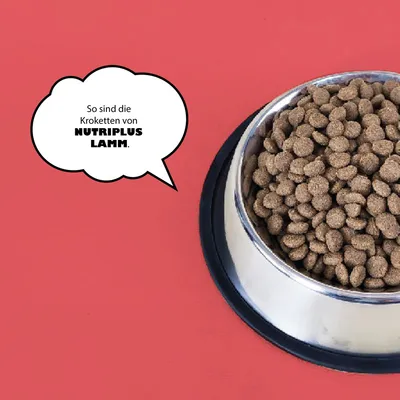 Futternapf mit braunen Kroketten und Text: So sind die Kroketten von Nutriplus Lamm.