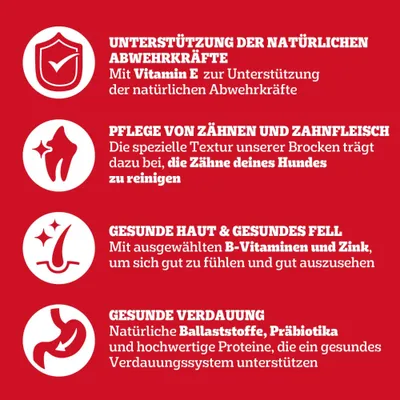 Soutien des défenses immunitaires avec de la vitamine E, soin des dents et des gencives, peau saine et fourrure brillante grâce aux vitamines B et au zinc, digestion saine avec des fibres et des prébiotiques. Soutien des défenses immunitaires avec de la vitamine E, soin des dents et des gencives, peau saine et fourrure brillante grâce aux vitamines B et au zinc, digestion saine avec des fibres et des prébiotiques.