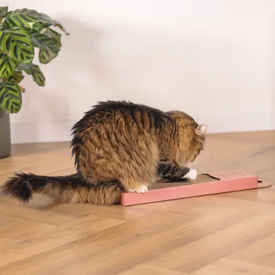 Brown tabby cat scratching a rectangular cardboard scratching board with pink border on wooden floor.