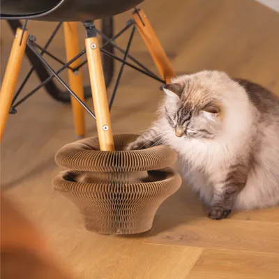 Katzenkratzspielzeug aus braunem Wellkarton, neben einem Stuhlbein. Katze interagiert mit dem Spielzeug auf Holzboden.