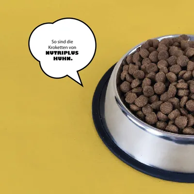 So sind die Kroketten von Nutriplus Huhn. Trockenfutter in einem silbernen Napf auf gelbem Hintergrund.