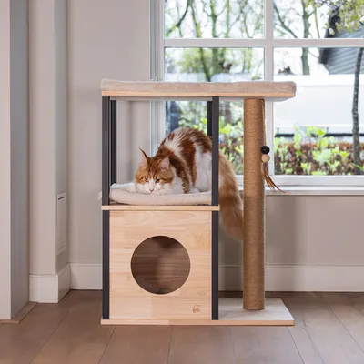 Kratzbaum aus Holz mit Höhle, Liegefläche und Sisal-Kratzstamm. Katze liegt auf der oberen gepolsterten Fläche.