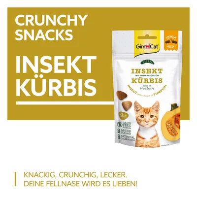 GimCat Crunchy Snacks - Insekt & Kürbis (50 g) GimCat Crunchy Snacks - Insekt & Kürbis (50 g)