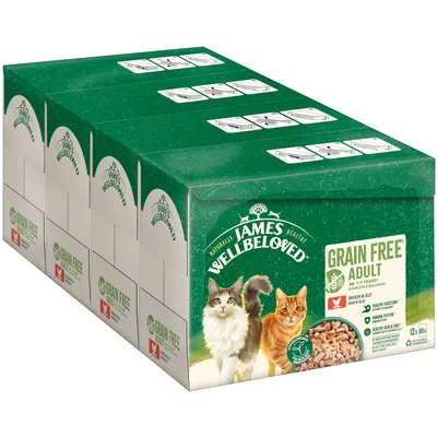 James Wellbeloved Grain Free Adult cat food, chicken in jelly, 12 x 85g. Visible text: healthy digestion, immune system, healthy skin & coat. Image shows two cats and product pieces.