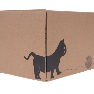 Braune Verpackung mit schwarzem Aufdruck einer Katze, die mit einem Wollknäuel spielt.