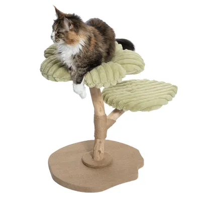 Árbol rascador con dos superficies acolchadas verdes y tronco de madera, gato sentado en la plataforma superior.