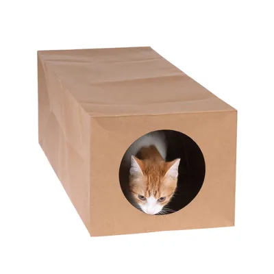 Braune Papiertunnelbox mit rundem Eingang, darin eine rot-weisse Katze sichtbar.