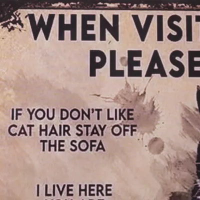 Textbild mit englischem Hinweis: 'When visiting please, if you don't like cat hair stay off the sofa. I live here, you don't.'