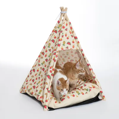 Deux chats dans une tente tipi en tissu imprimé de motifs pastèque, ananas et glaces, avec armature en bois visible au sommet.