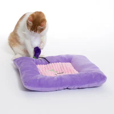 Lila Katzenbett mit rosa Innenfläche und Spielzeug. Katze spielt mit lila Stoffspielzeug, das am Bett befestigt ist.