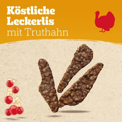 Köstliche Leckerlis mit Truthahn, Abbildung von drei braunen Snacks, Cranberries und Kernen unten links, rotes Truthahnsymbol oben rechts.