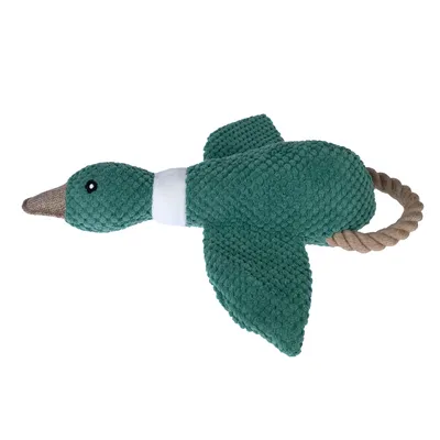 Jouet pour chien en forme de canard vert, corps en tissu texturé et queue en corde tressée beige, sans marque visible.