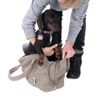 Petit chien noir et marron assis dans un sac de transport en tissu beige, une personne l’aide à s’installer. Sac avec poignées et fermeture éclair visibles.