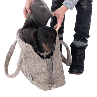 Sac de transport en tissu beige avec un chien noir à l’intérieur, une personne ouvre le rabat du sac. Poignées visibles et intérieur matelassé.