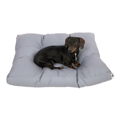 Coussin gris pour chien avec un teckel noir allongé dessus, étiquette visible sur le côté du coussin.