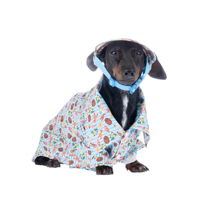 Pies w niebieskiej sukience z kolorowym wzorem precli, kwiatów i słodyczy.